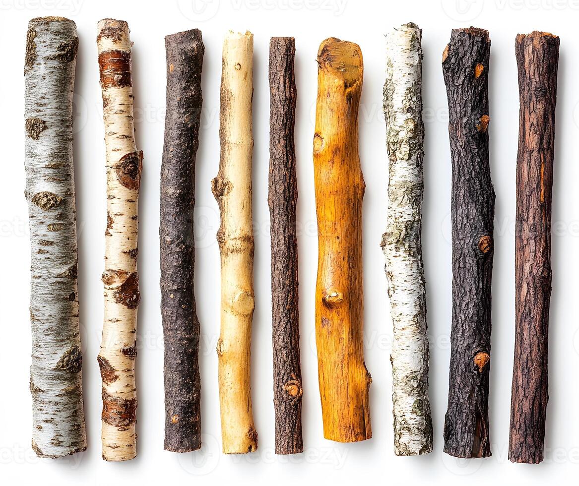 Ten assorted wood pieces arranged neatly in a row photo