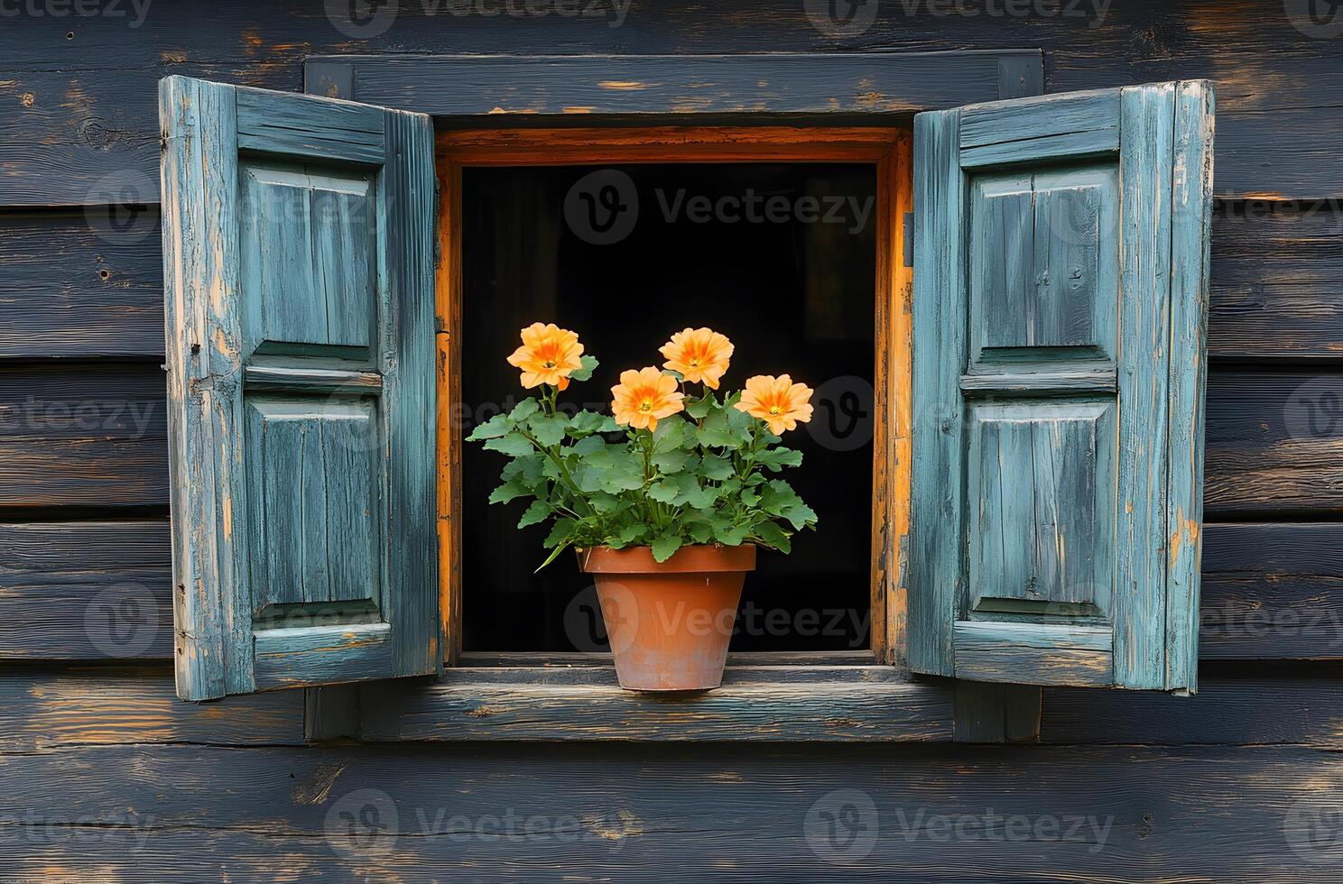 Orange flowers in a pot on a rustic windowsill photo