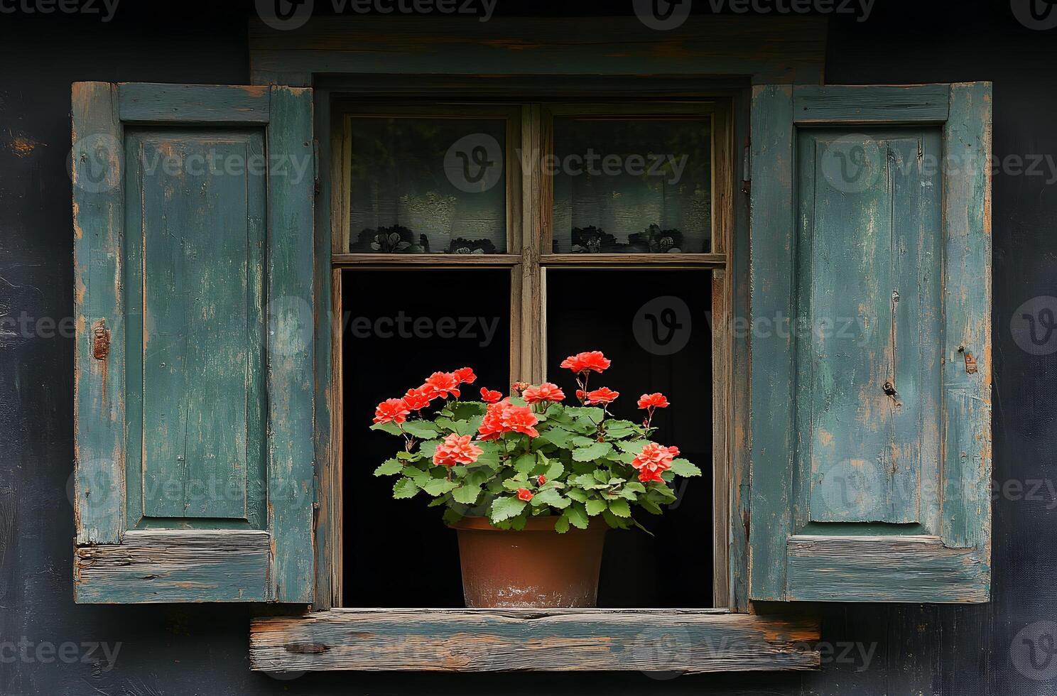 Geraniums in a Pot on an Old Windowsill photo