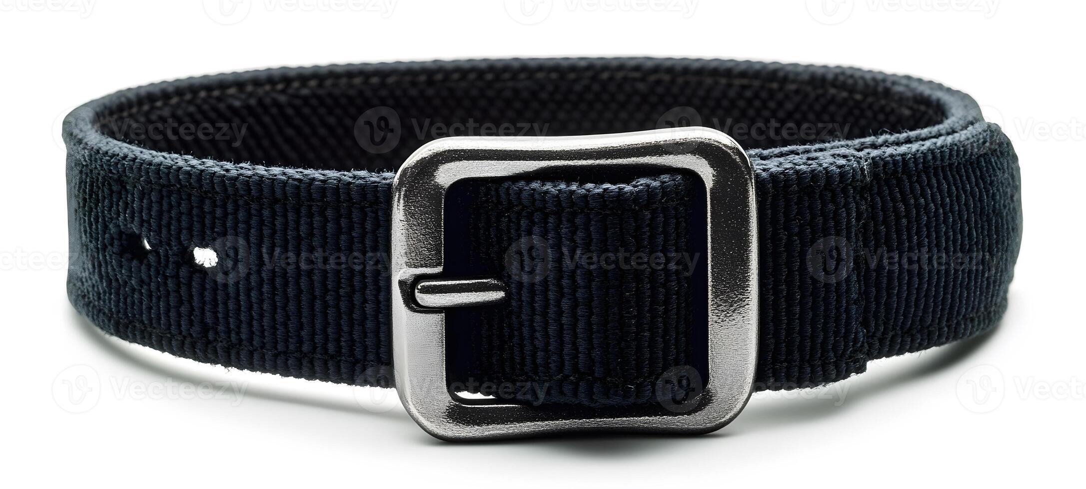 Black Fabric Strap With Silver Metal Buckle photo