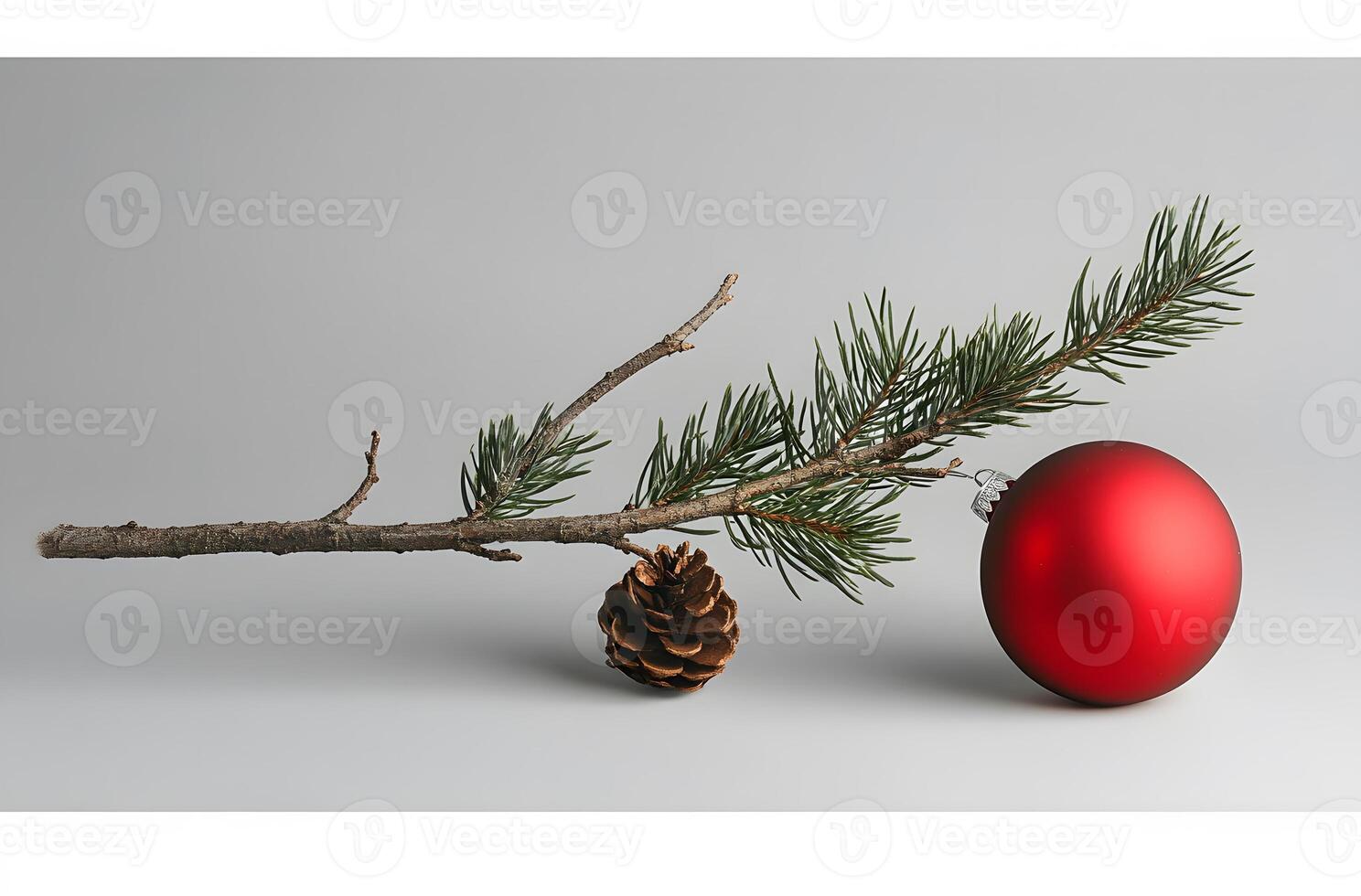 A pine branch holds a pine cone and red ornament photo