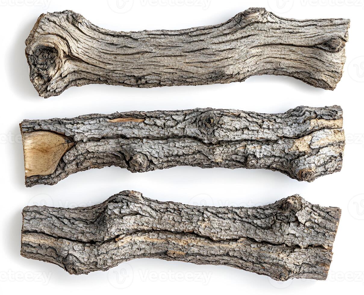 Three weathered grey tree logs isolated on white photo