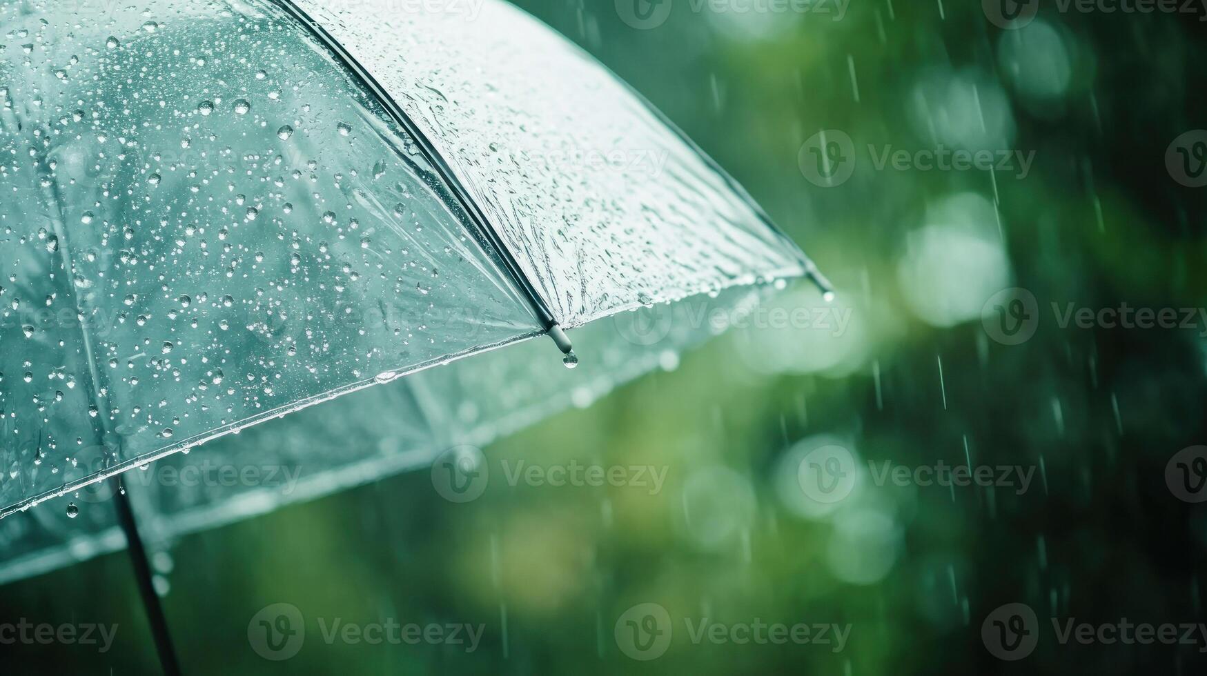 Transparent Umbrella with Raindrops in a Rainy Forest photo