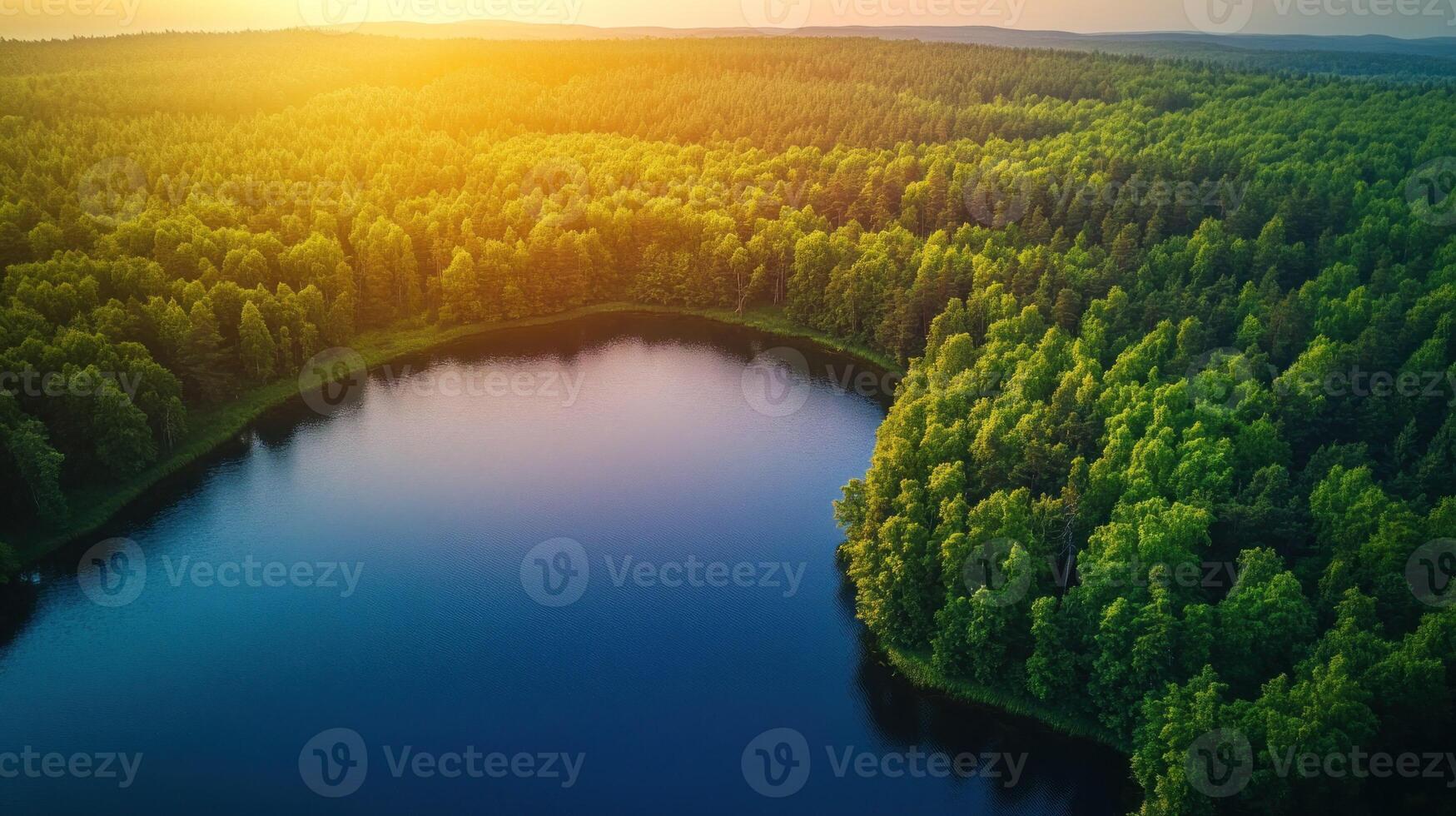 Aerial View of a Serene Lake Surrounded by Lush Green Forest photo