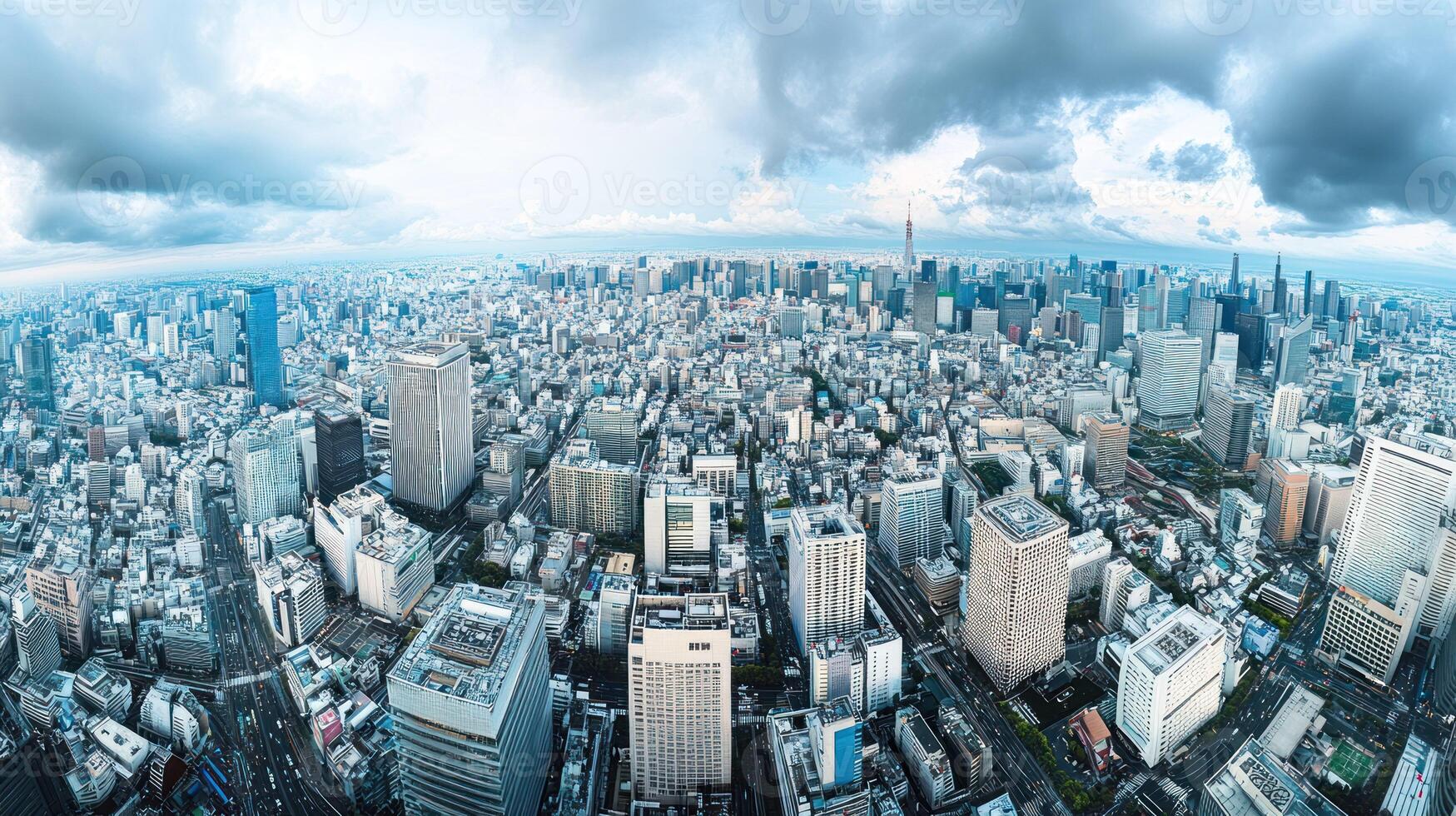 Panoramic Aerial View of Tokyo Skyline with Cloudy Sky photo