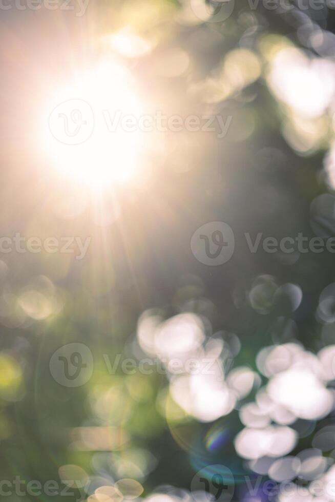 Abstract natural bokeh background, defocused nature background with sun light photo