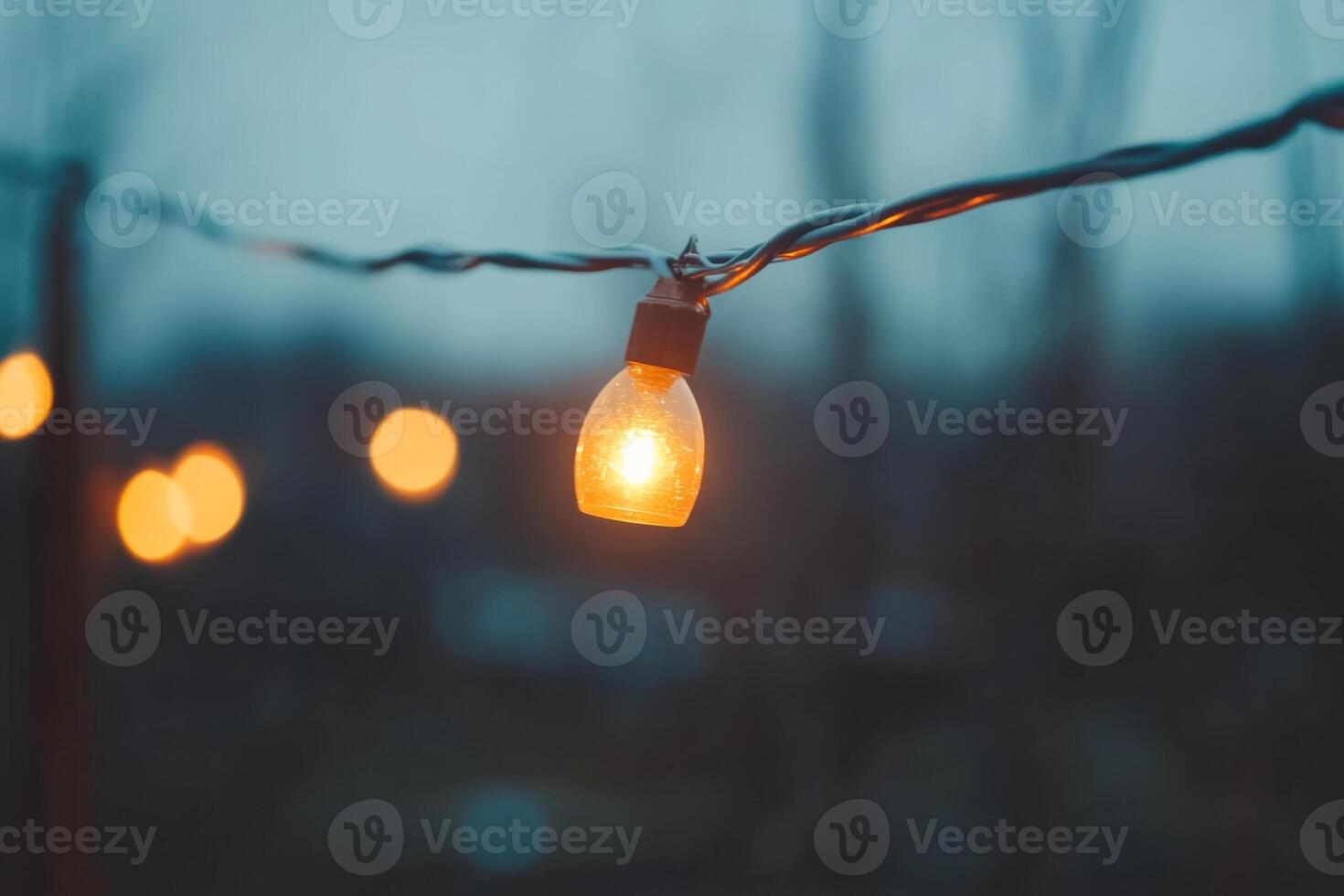 Warm glow of string lights illuminating a cool evening in a garden setting with blurred lights in the background photo