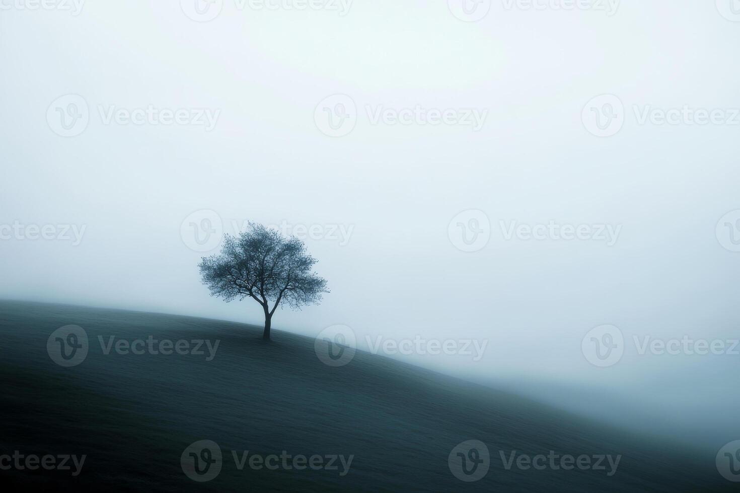 A lone tree stands alone on a hill in the fog photo