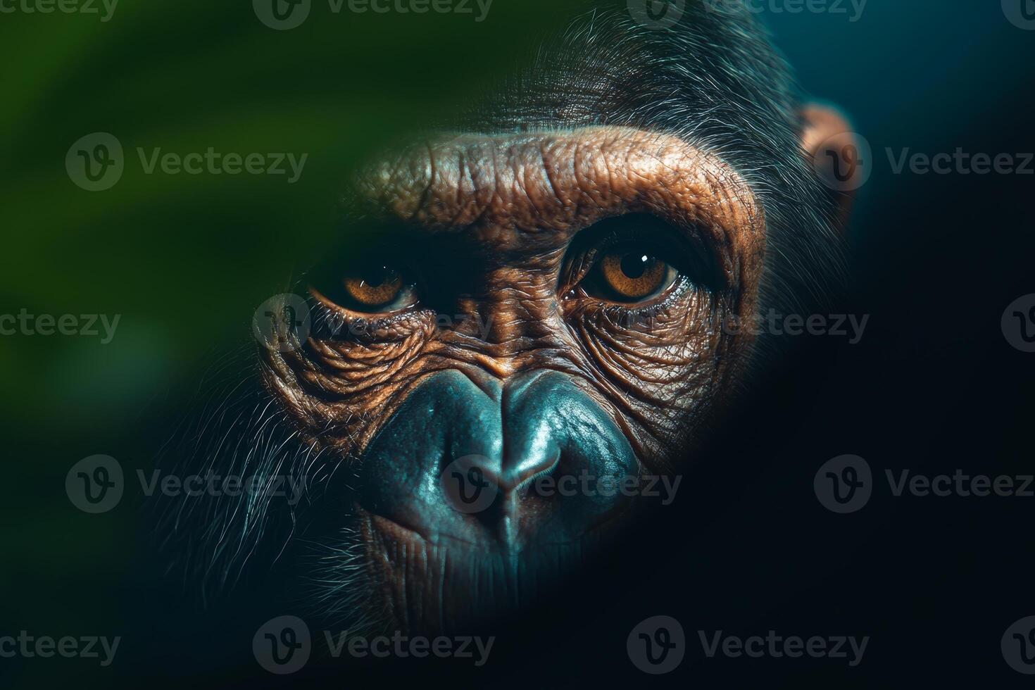 A close-up of a gorilla's intense gaze through lush foliage in a natural habitat showcasing its intriguing expression and textured features photo