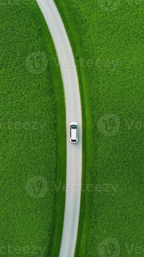 Aerial View of Car on Curved Road through Lush Green Fields Capturing Scenic Nature and Travel Perspective photo