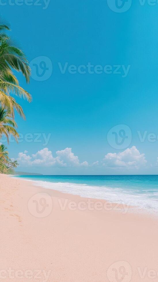 Panoramic View of Tropical Sandy Beach with Clear Blue Sky and Palm Trees Ideal for Summer Getaways and Relaxation photo