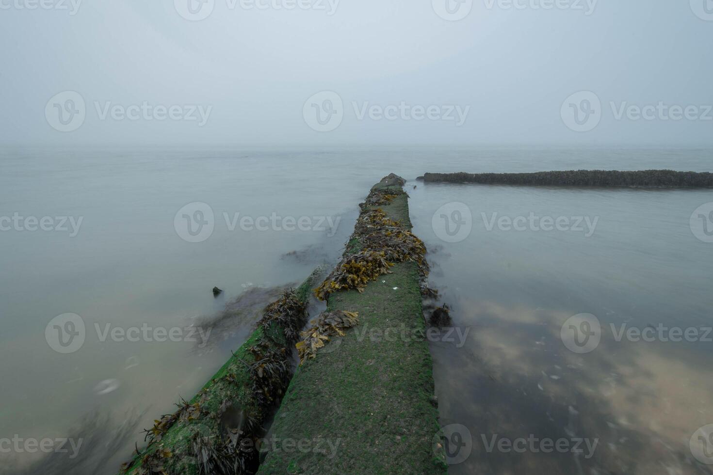 Old concrete pier disappearing into the fog, covered with seaweed and moss photo
