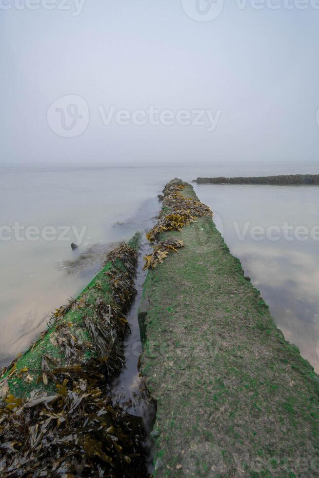Concrete breakwater covered with green algae disappearing into the fog photo