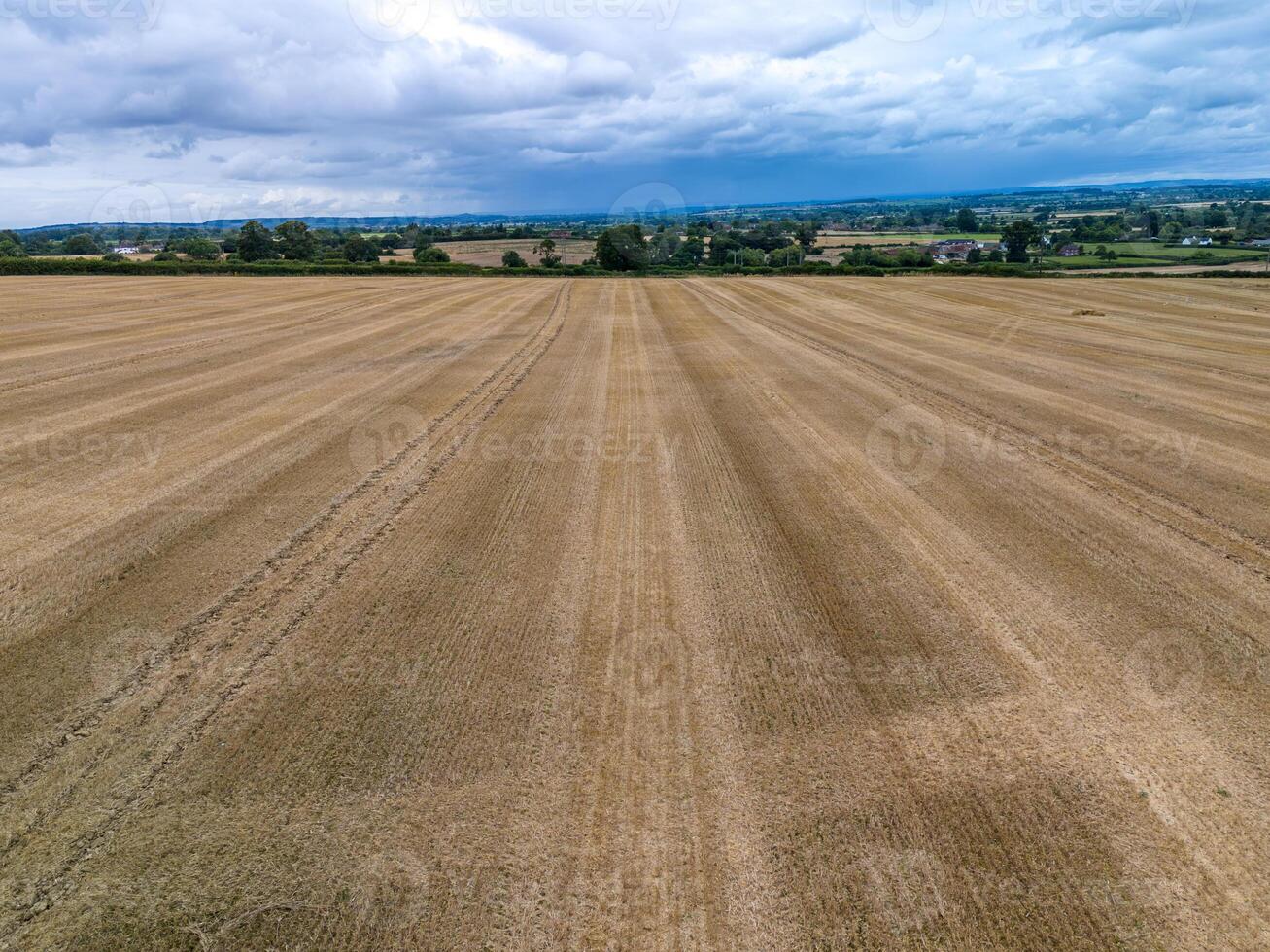 Harvested wheat field creating leading lines towards distant houses under cloudy sky photo