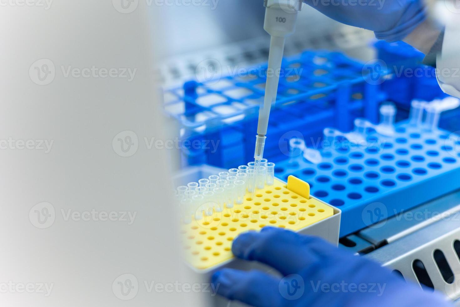 Scientist using micropipette adding sample into microtubes inside a biosafety cabinet photo