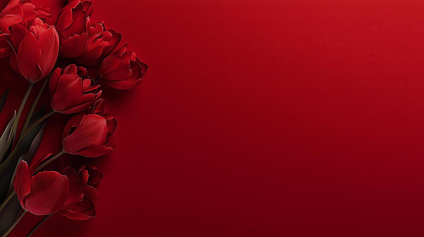 Vibrant red tulips arranged on a bold crimson background for a striking display of color photo