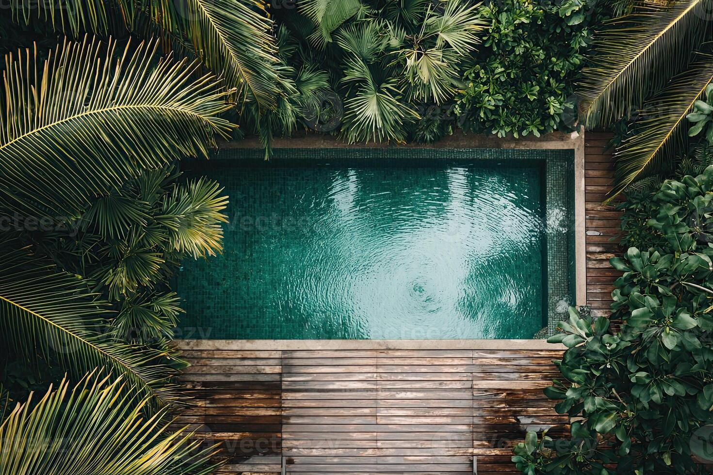 Swimming pool in tropical garden with palm trees and green leaves photo