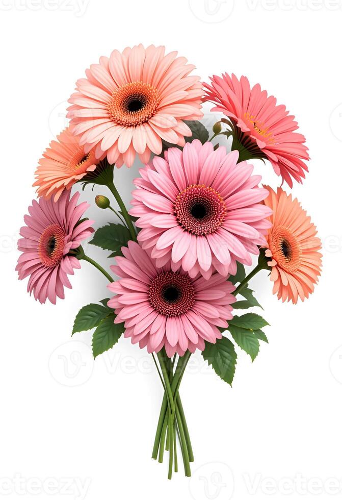 Bouquet of pink gerberas on white background.Flowers for the celebration photo