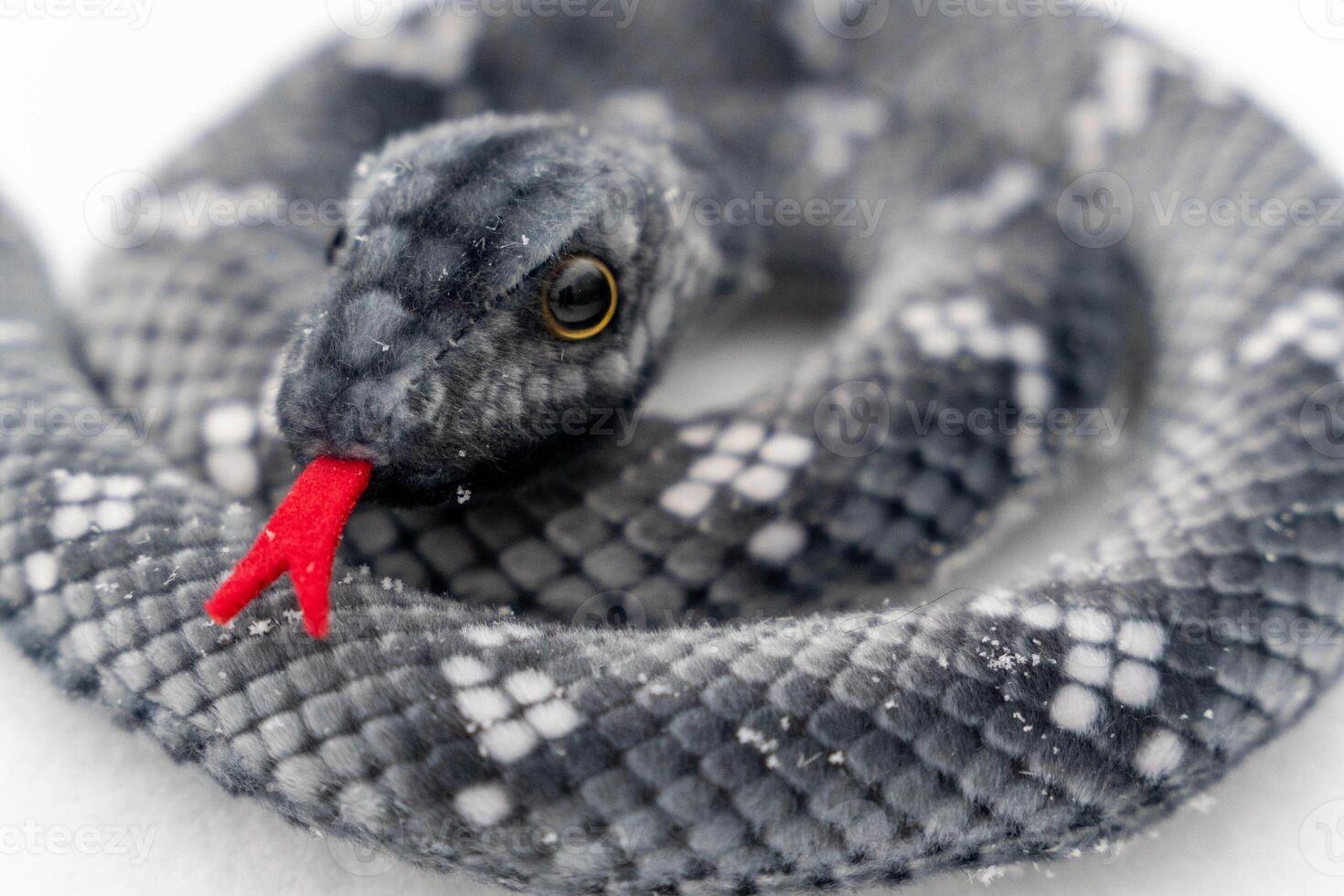 Plush snake toy coiled with red tongue showing on white background photo