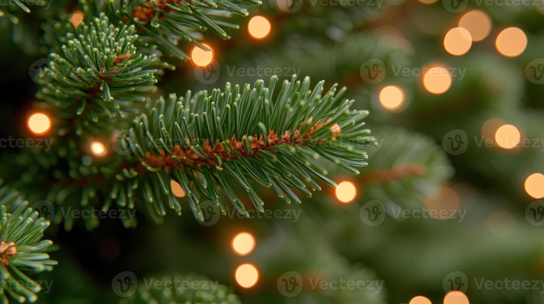 Delicate green branches glow softly, twinkling with warm holiday lights in December photo