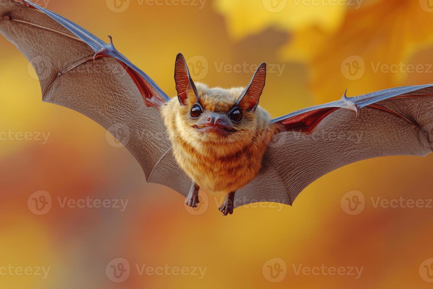 A brown bat in flight against an autumnal backdrop photo
