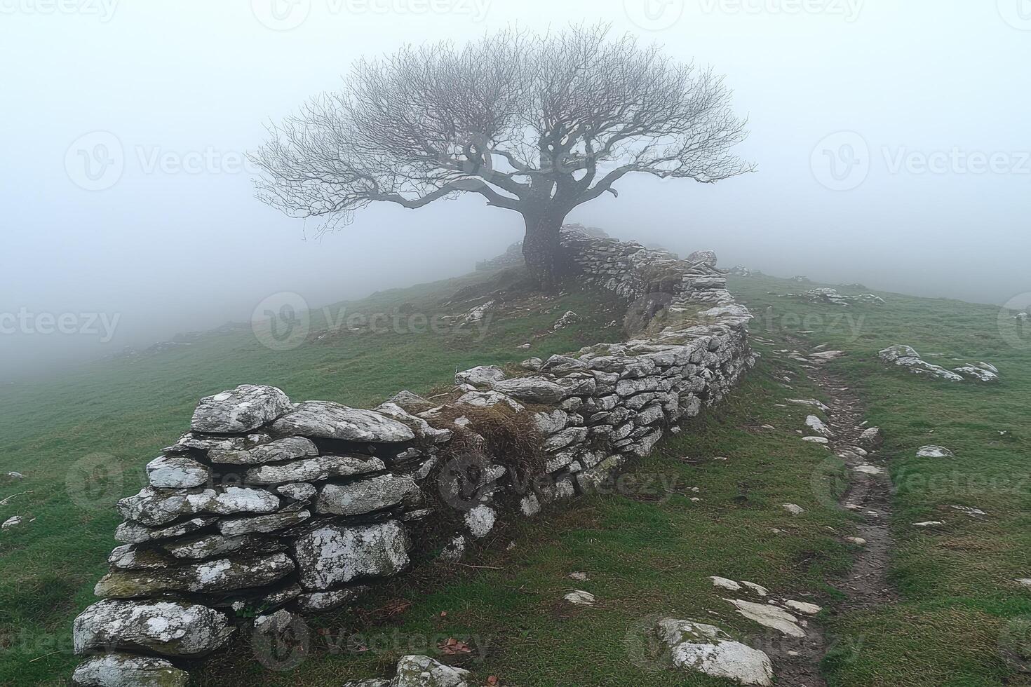 A lone tree stands beside an ancient stone wall in the mist photo