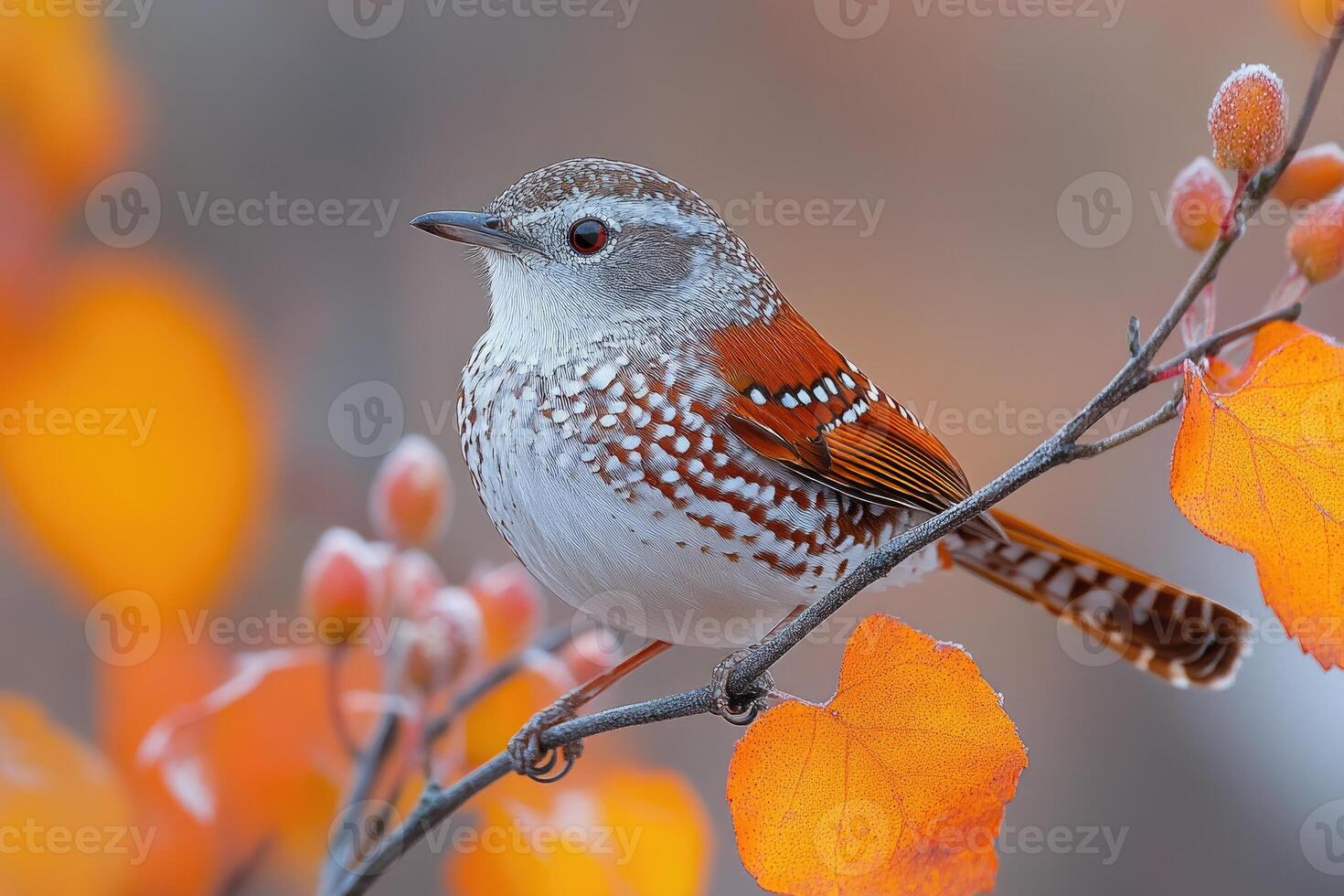 A small bird perched on an autumn branch photo