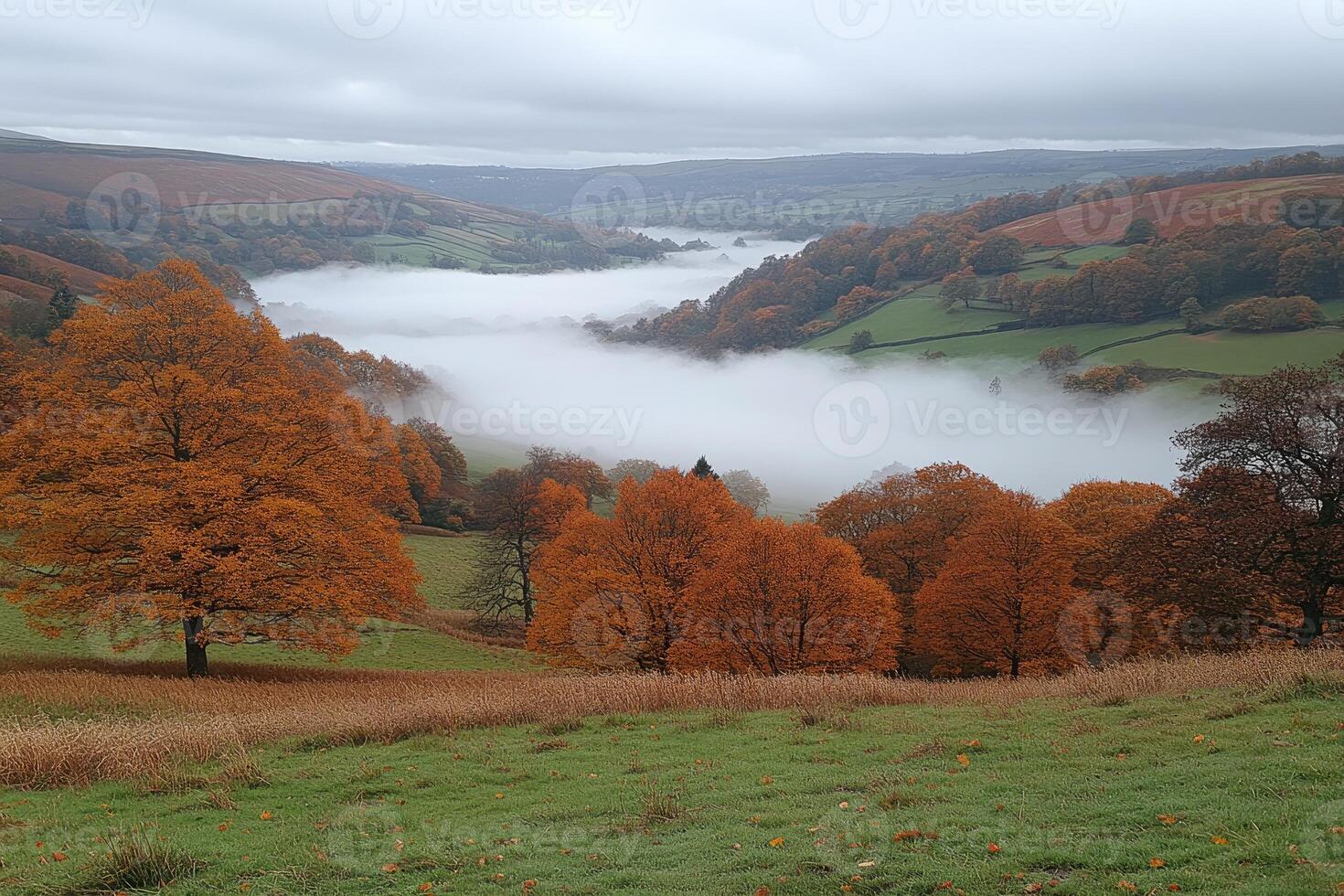 Autumnal Valley Mist Rolling Through Fields and Trees photo