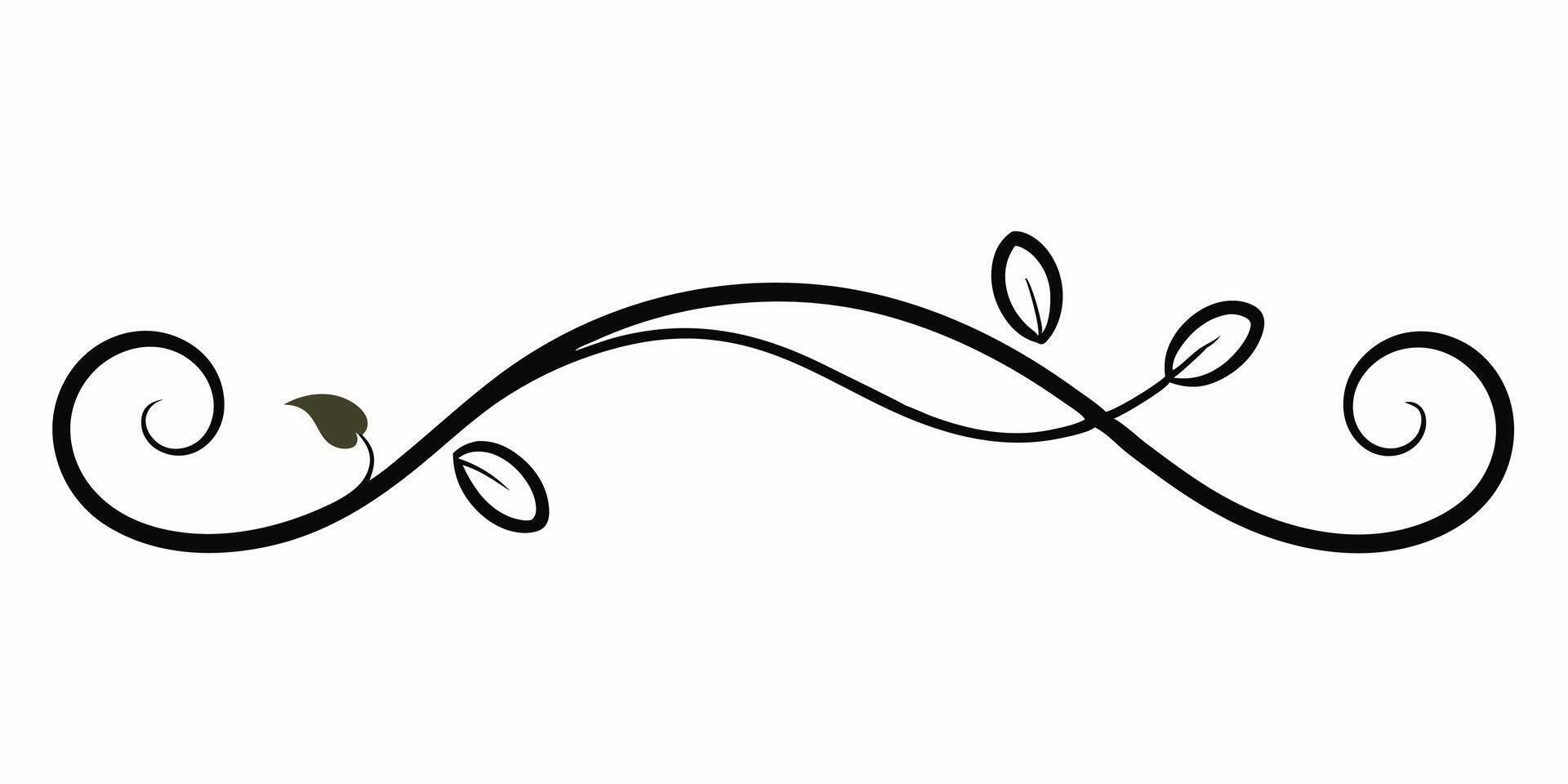 Simple swirl underline design for elegant decoration need vector