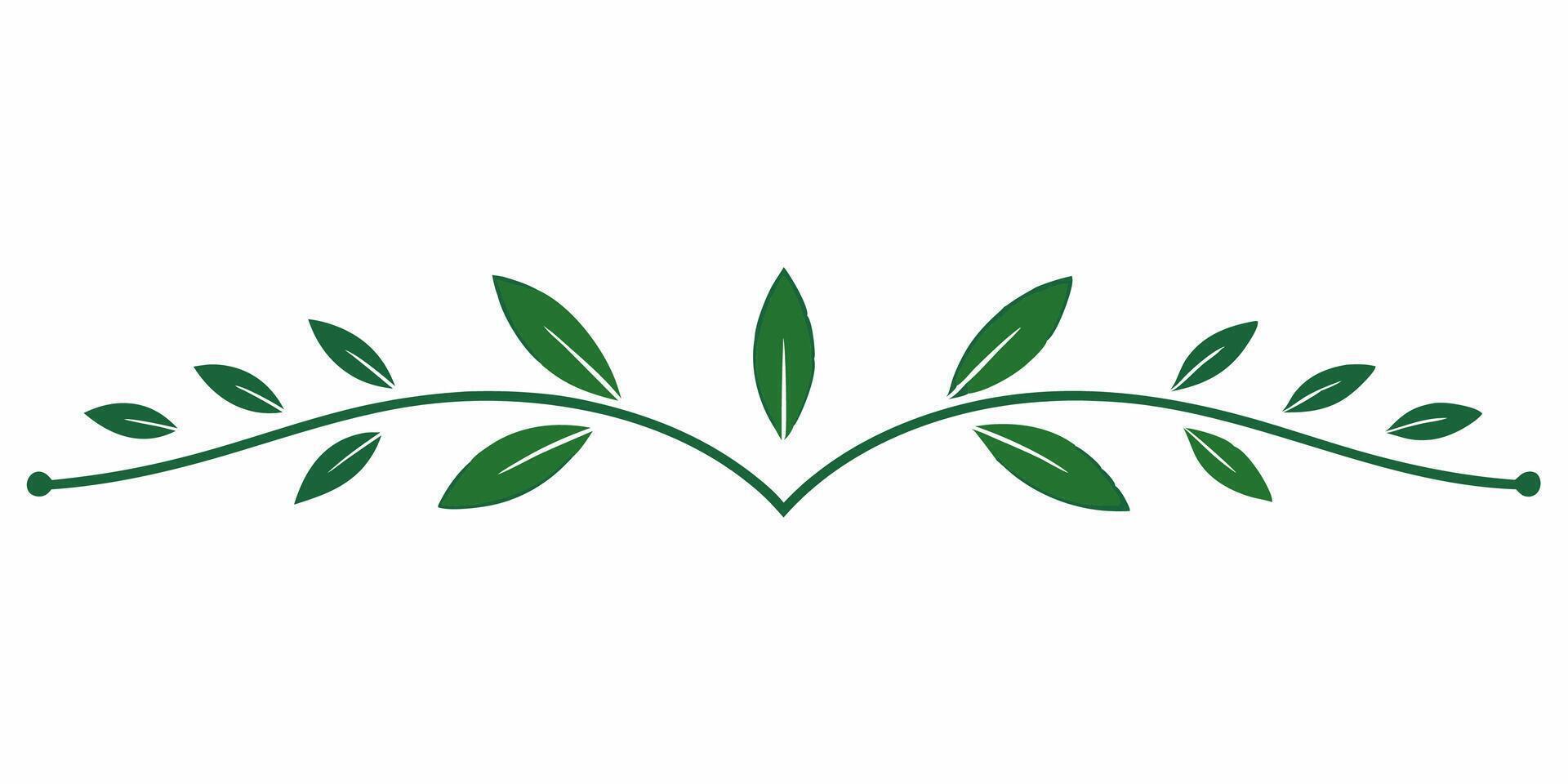Decorative botanical ornament underline for stylish designs vector