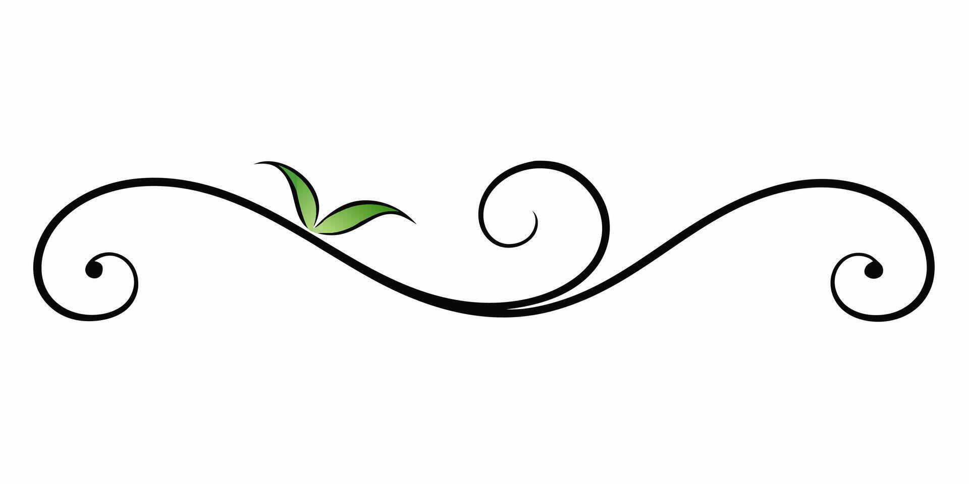 Decorative swirl underline art for stylish vector