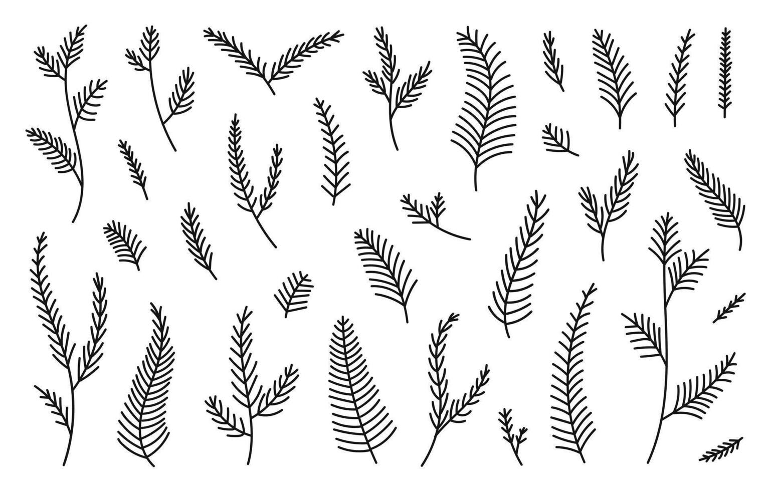 Hand drawn set evergreen tree branches. Conifer black branches isolated on a white background.Minimalistic linear elements vector