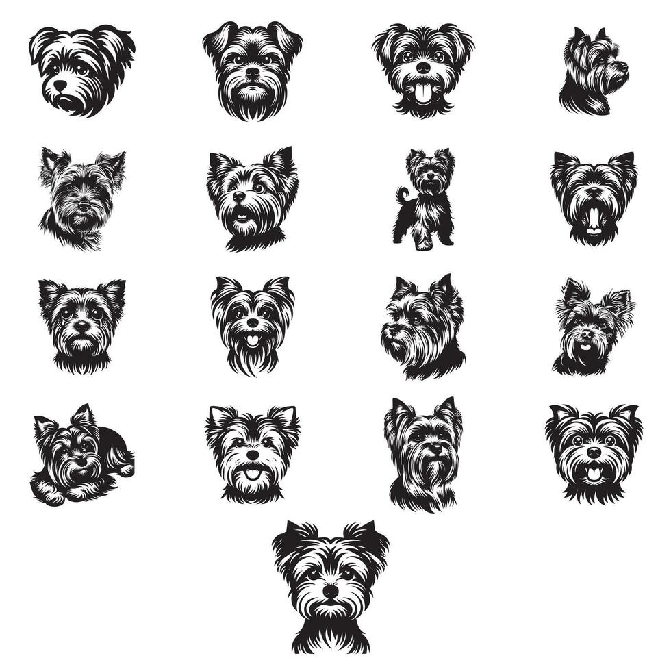 Charming Yorkshire Terrier Face SVG Bundle vector
