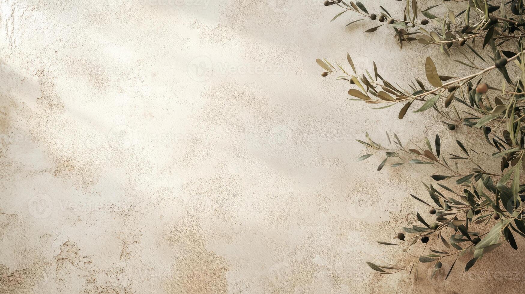 Olive branches casting shadows on a light textured wall surface in natural light photo