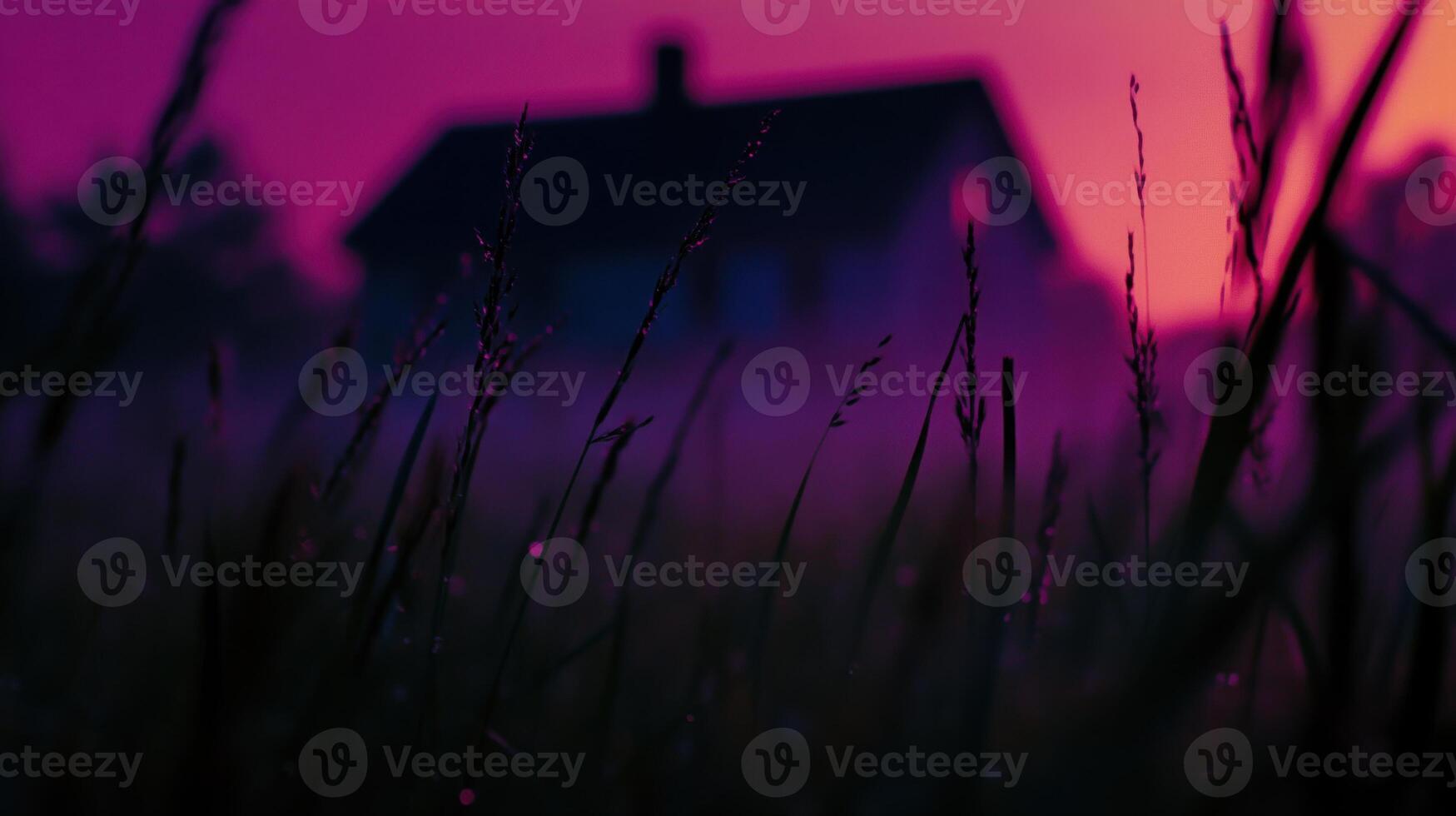 Silhouette of a house at dusk with tall grass in the foreground photo