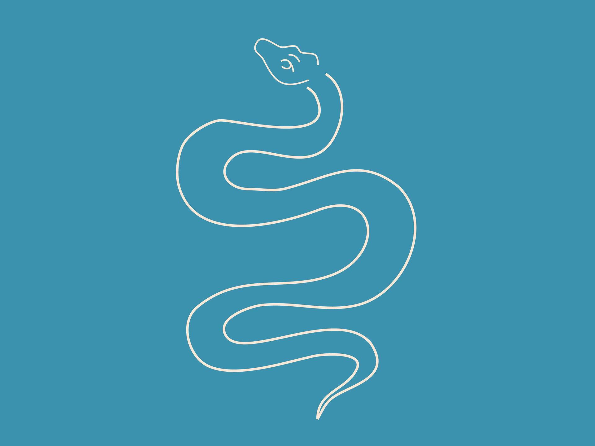 A simple white outline of a snakes body 55103845 Vector Art at Vecteezy