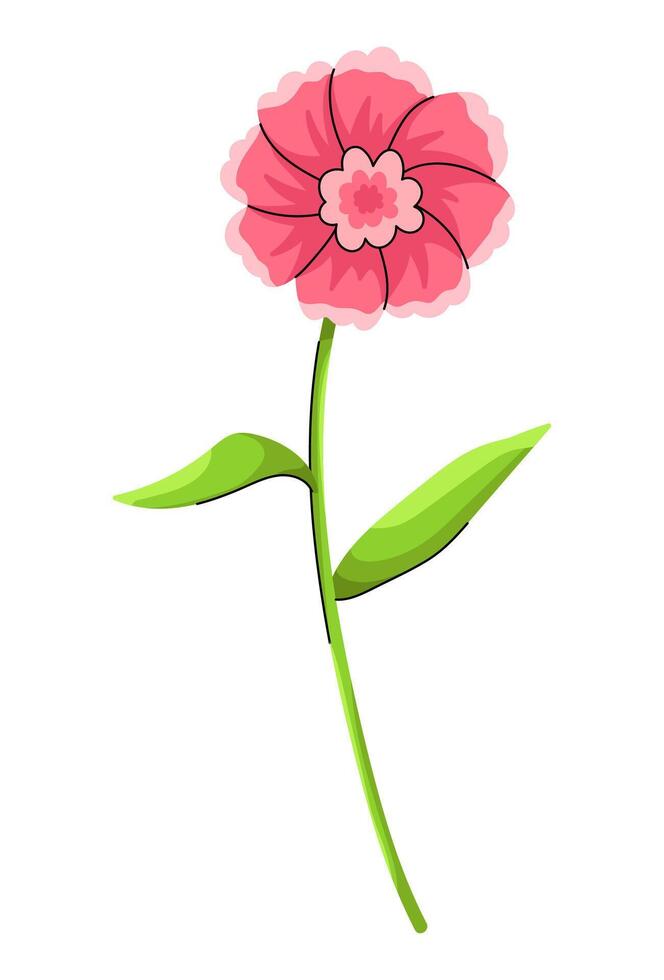 Blossom Flower Flat vector
