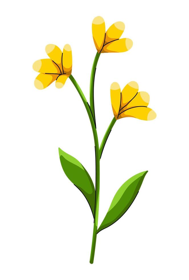 Blossom Flower Spring vector