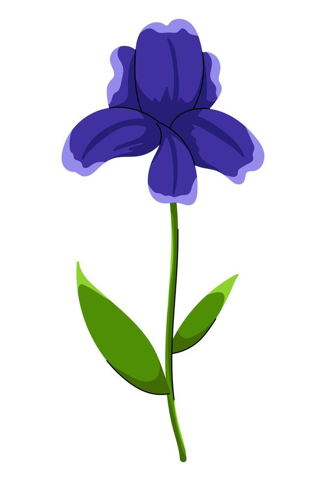 Beautiful Blossom Flower vector