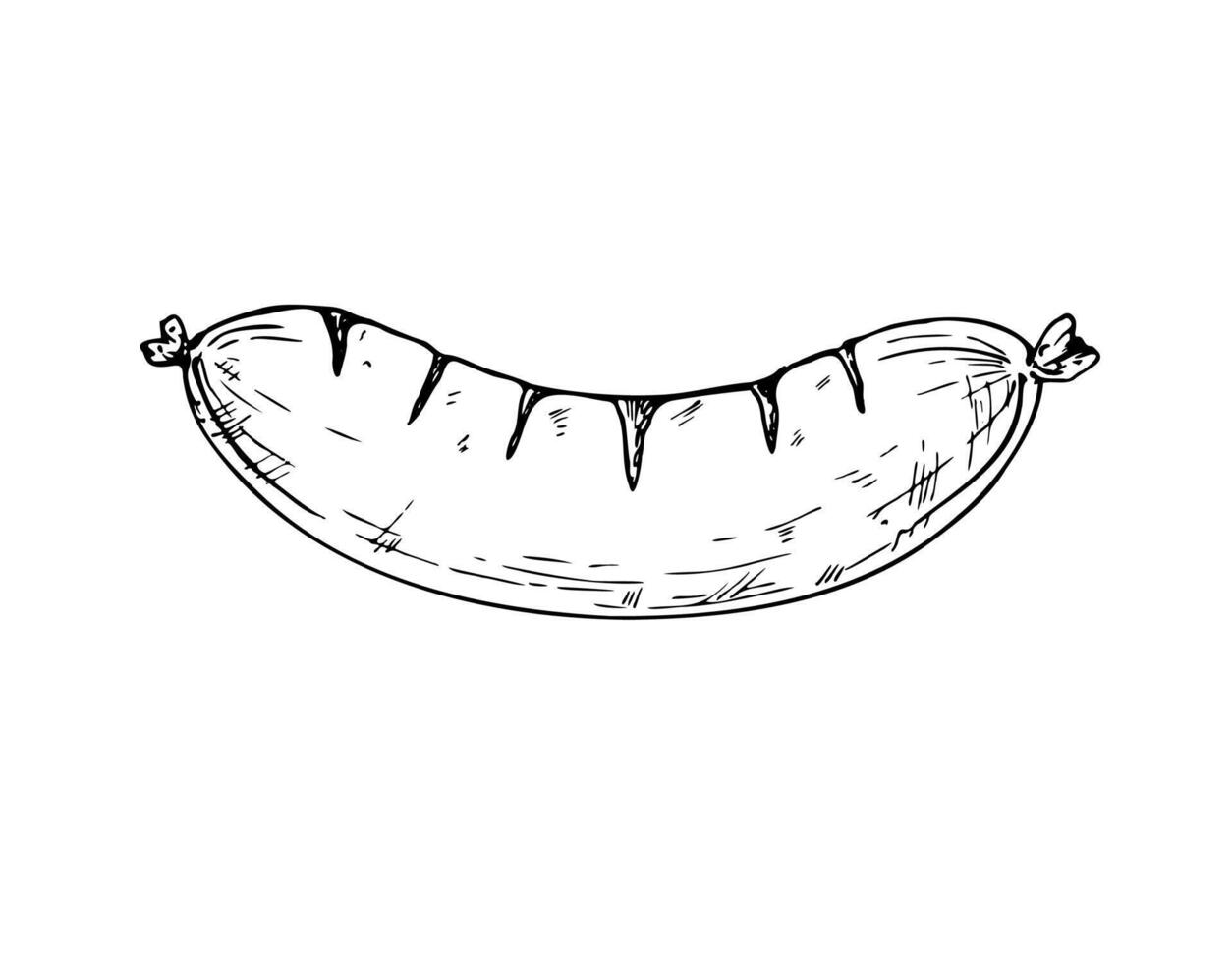 grilled sausage. Graphic German bratwurst illustration isolated on background. Hand drawn line sketch. For designers, prints, postcards, wrapping paper, icon, octoberfest, holiday, covers vector