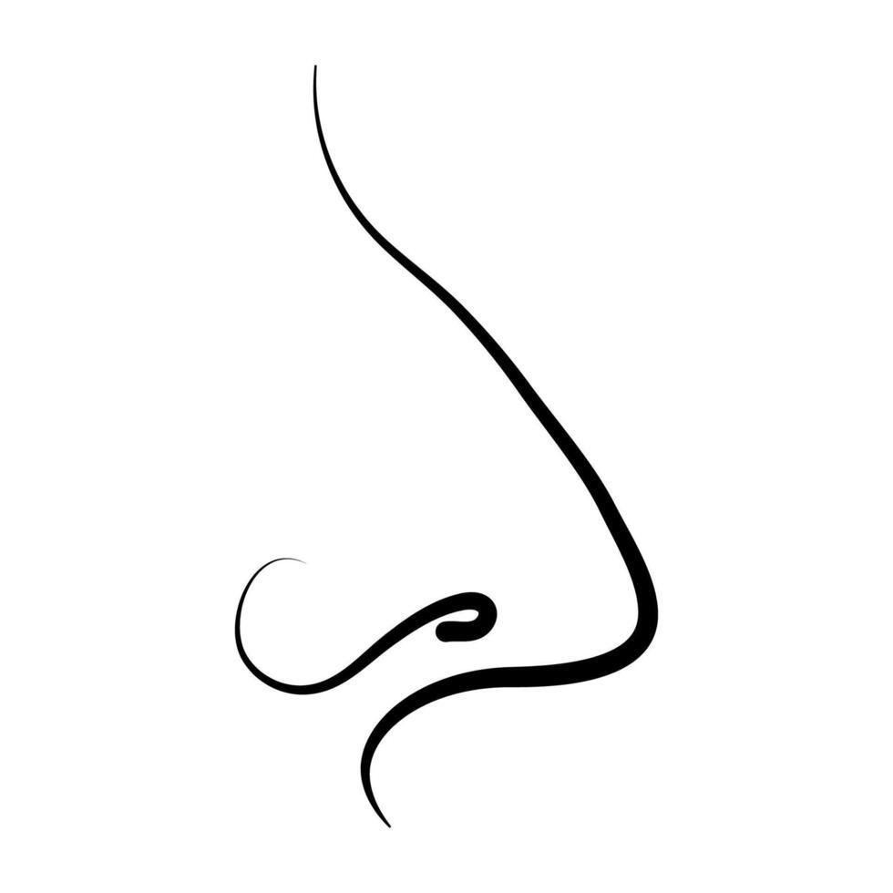 Black Line Art Nose Icon, nose face human, anatomy body vector