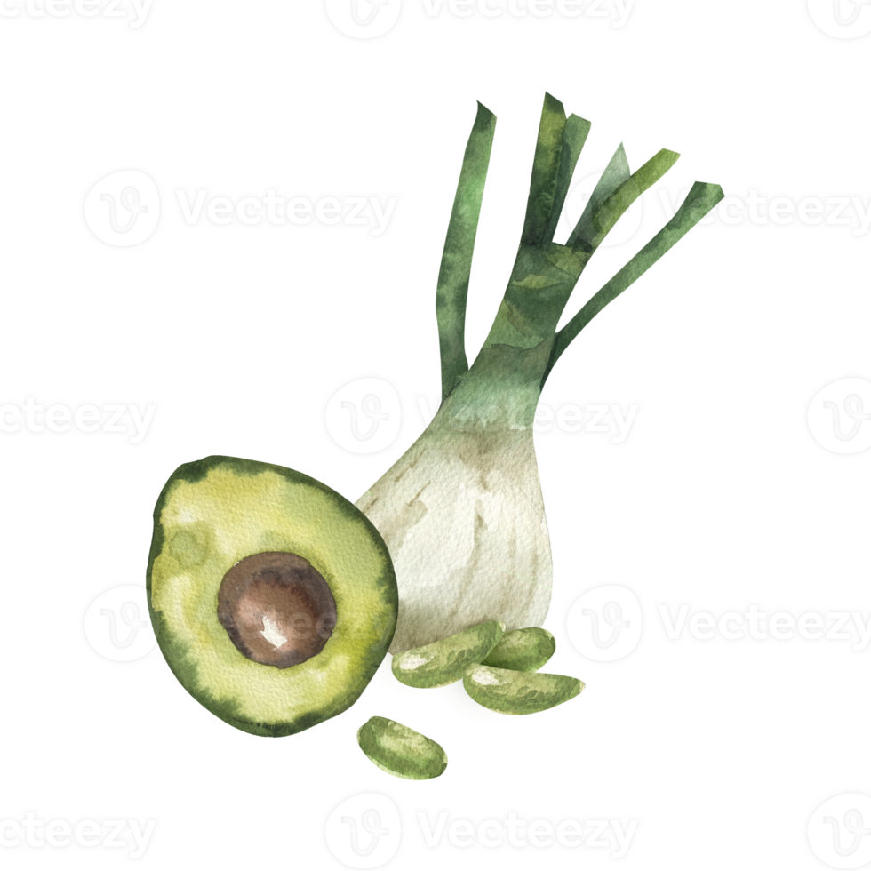 Organic vegetarian food composition with avocado, green beans and onion shallot watercolor illustration. Hand drawn rustic easting clipart for grocery market label, logo, menu design png
