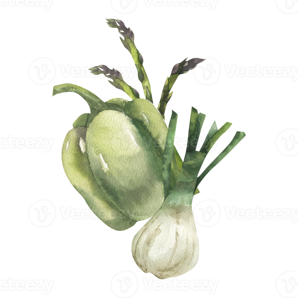 Green vegetables composition with sweet pepper, onion shallot and asparagus branches watercolor illustration. Hand drawn organic vegan food clipart for grocery shop, food market label, logo design. png