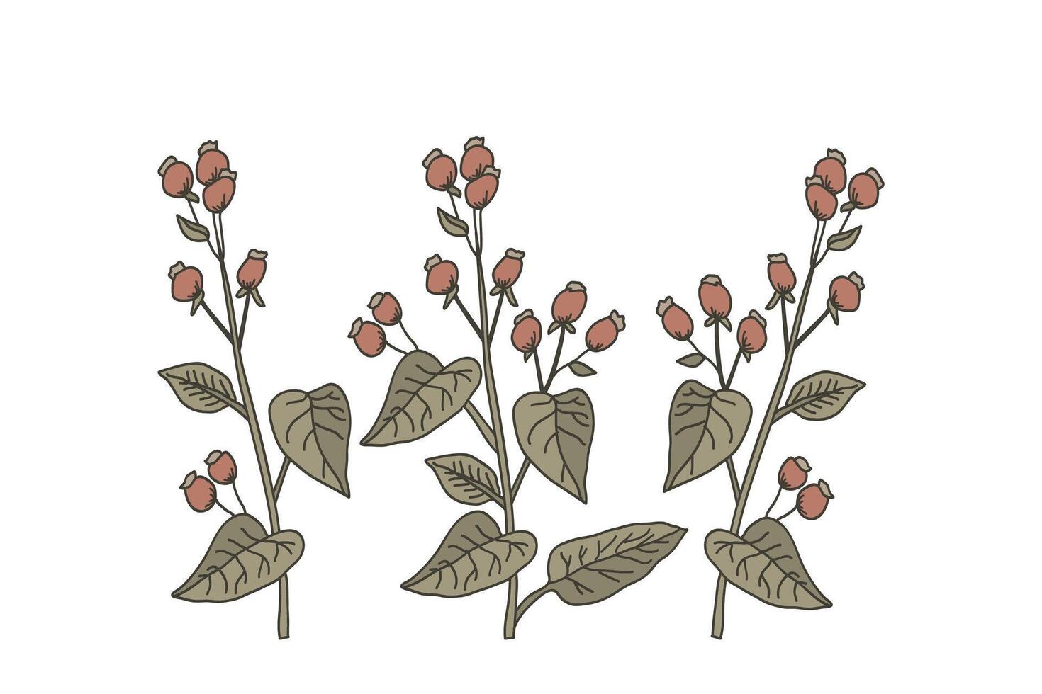 Botanical hand drawn branches with leaves and berries isolated on white background illustration. Graphic design for Print Brand Book Greeting Card Product Poster Flayer Invitation Event Fashion vector
