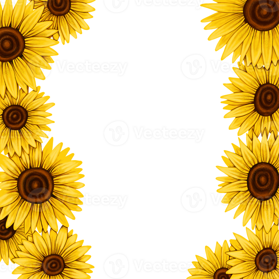 Floral border. Sunflower Frame. Yellow flowers, transparent background. Digital botanical illustration. Suitable for invitations, greeting cards, document design, posters, web design png