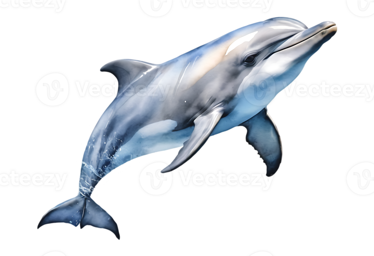 A dolphin jumping in the air on a transparent background png