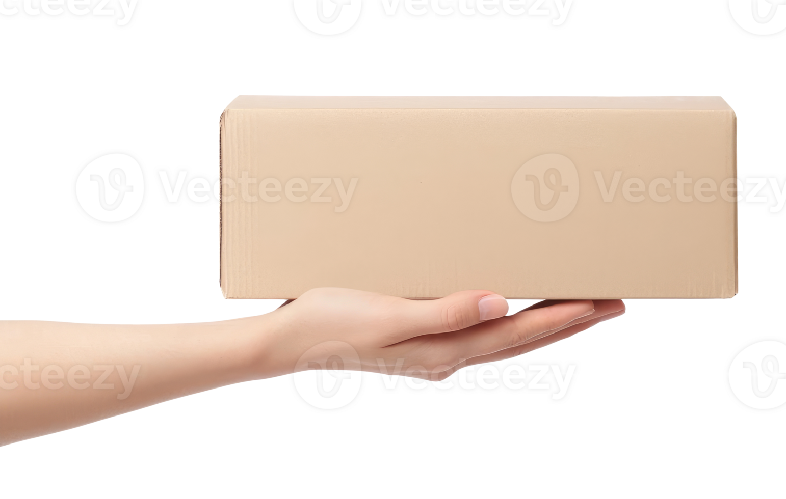 Female hand with cardboard box png
