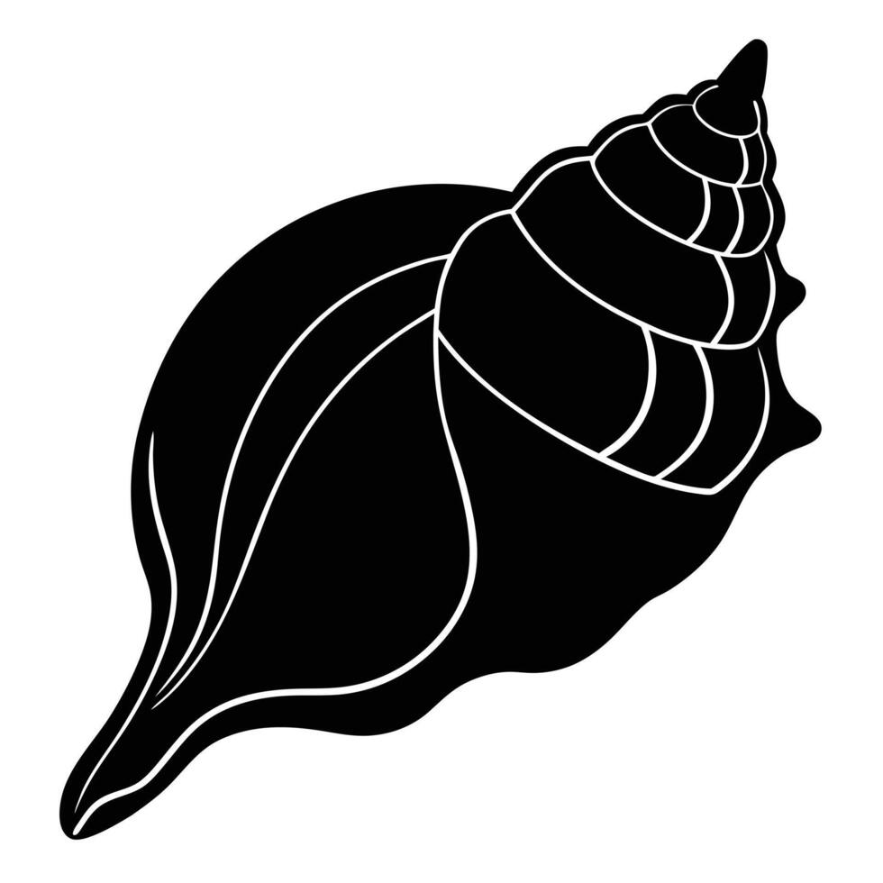 whelk - seafood on white vector