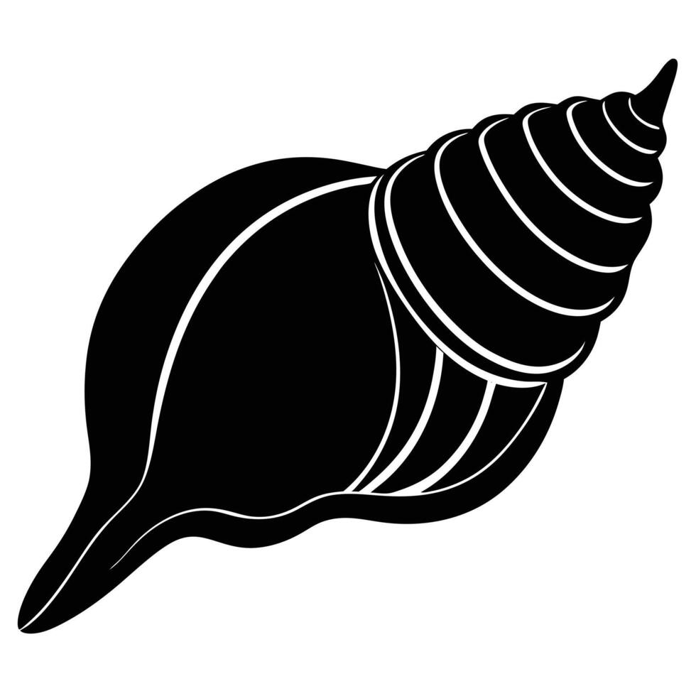 whelk illustration on white vector