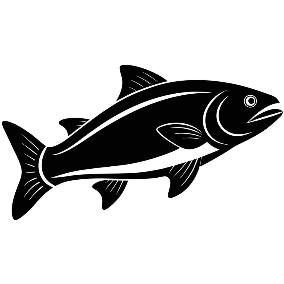 Salmon fish illustration on white background vector